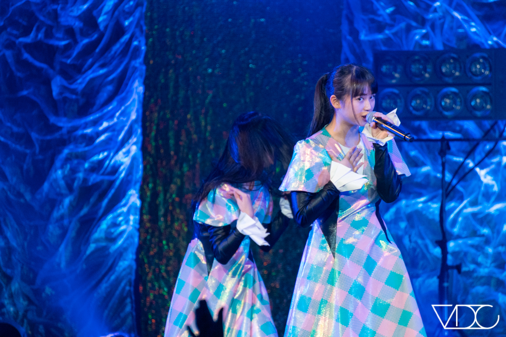 sakuraebis