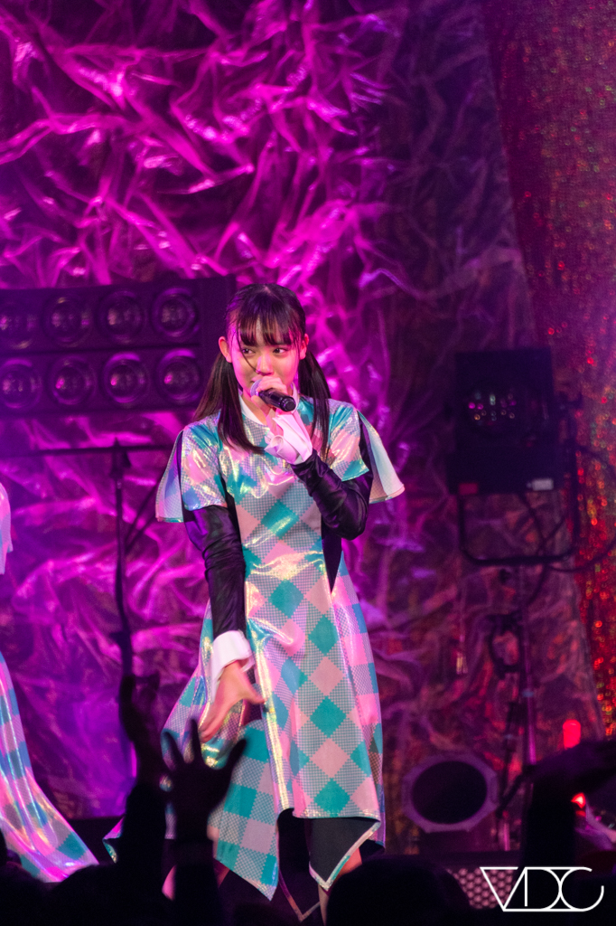 sakuraebis