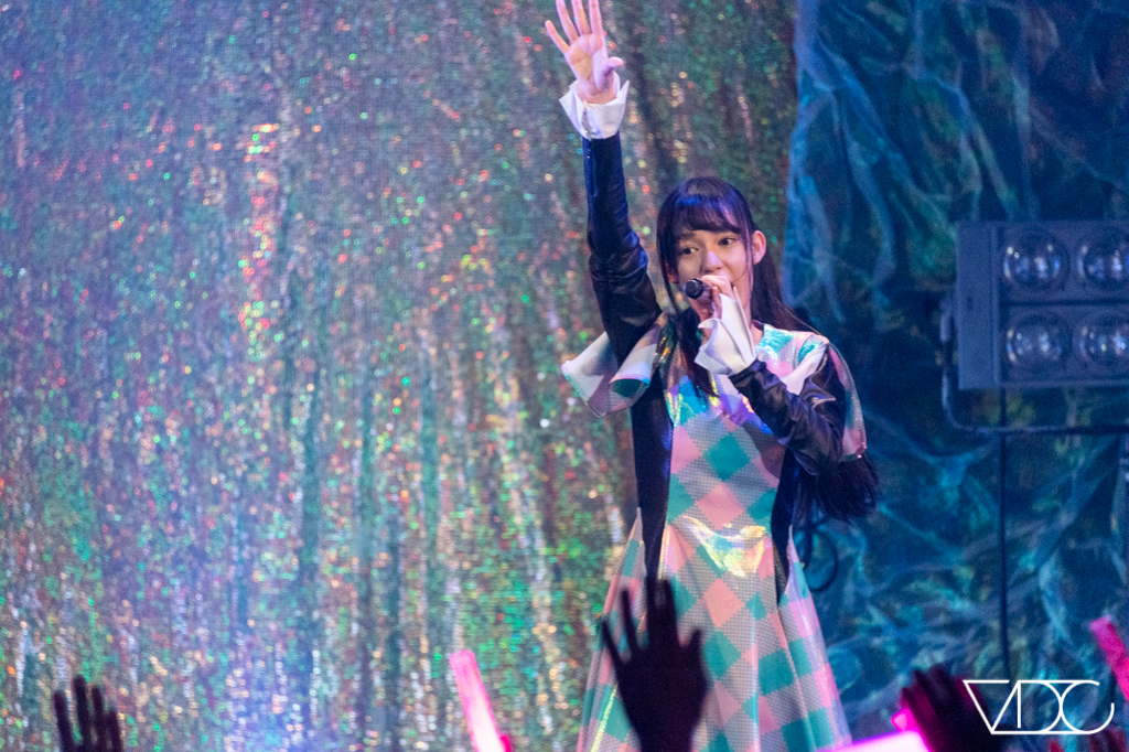sakuraebis