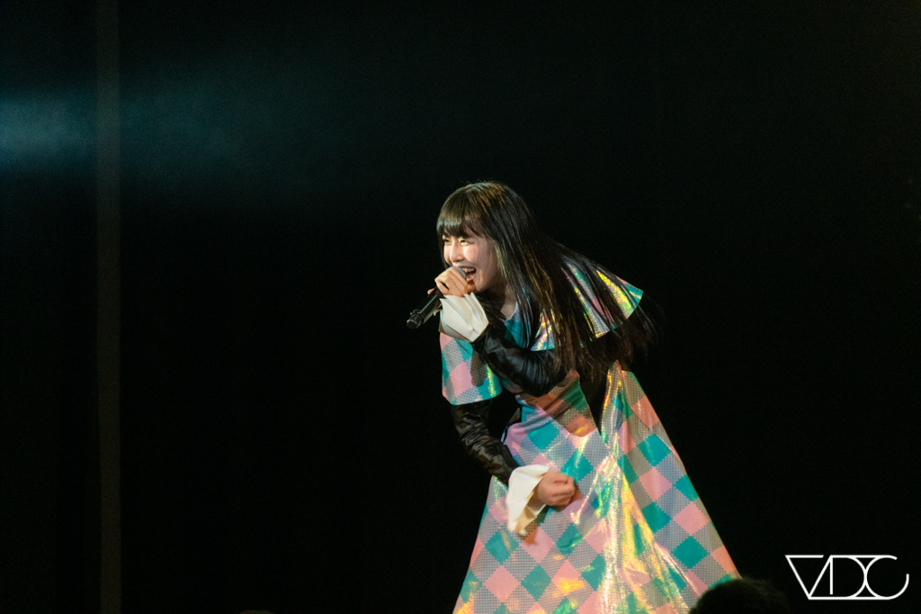 sakuraebis