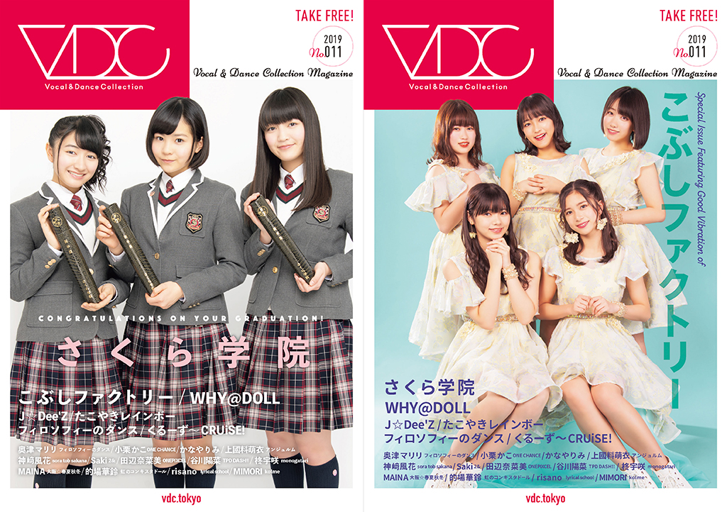 VDC Magazine 011