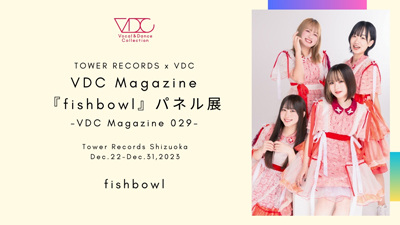 VDC Magazine Panel