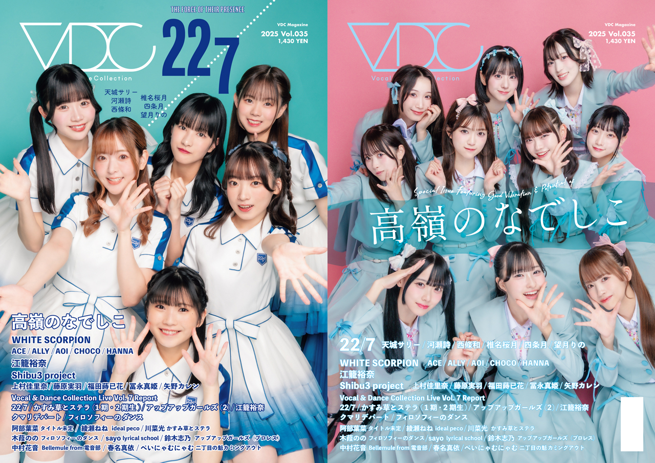 VDC Magazine 035