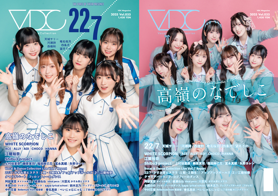 VDC Magazine 035