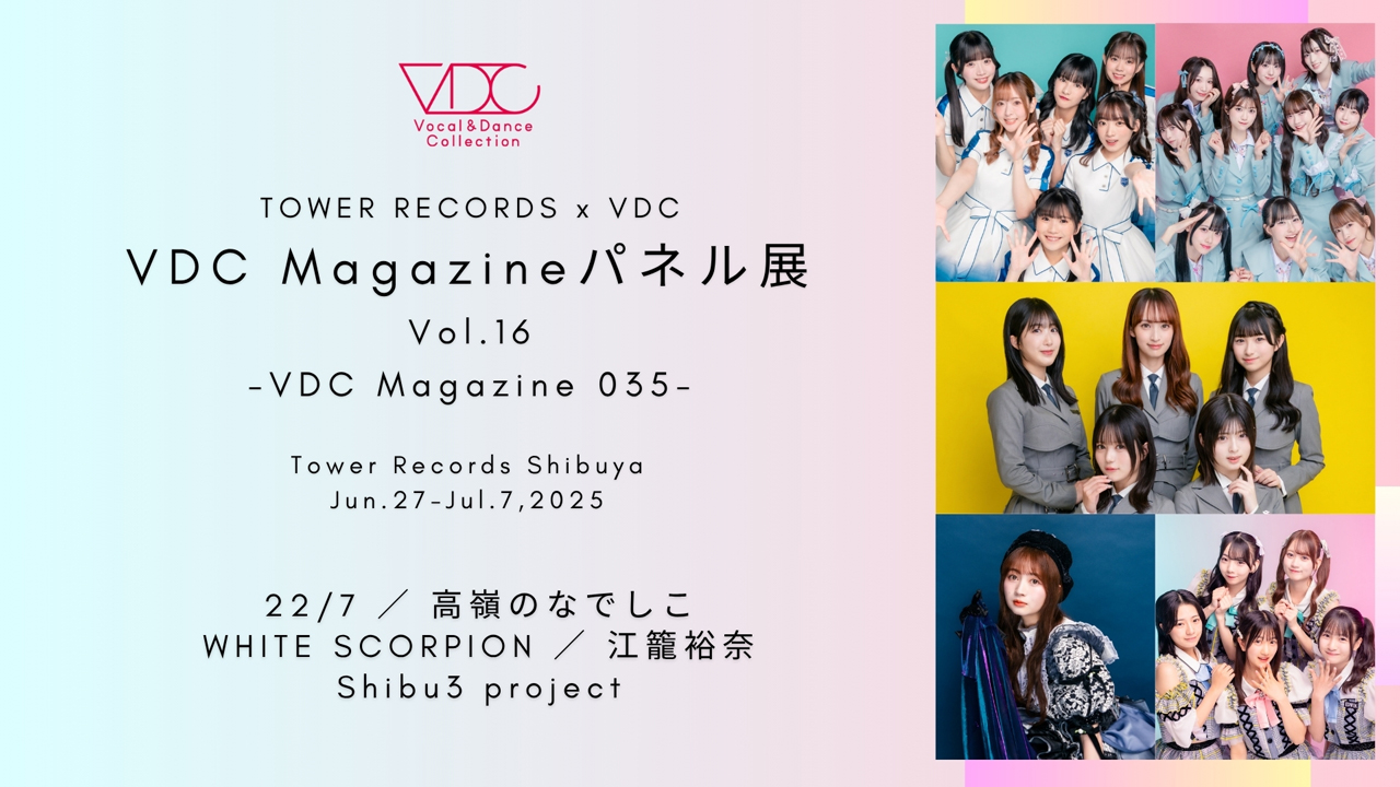 VDCパネル展