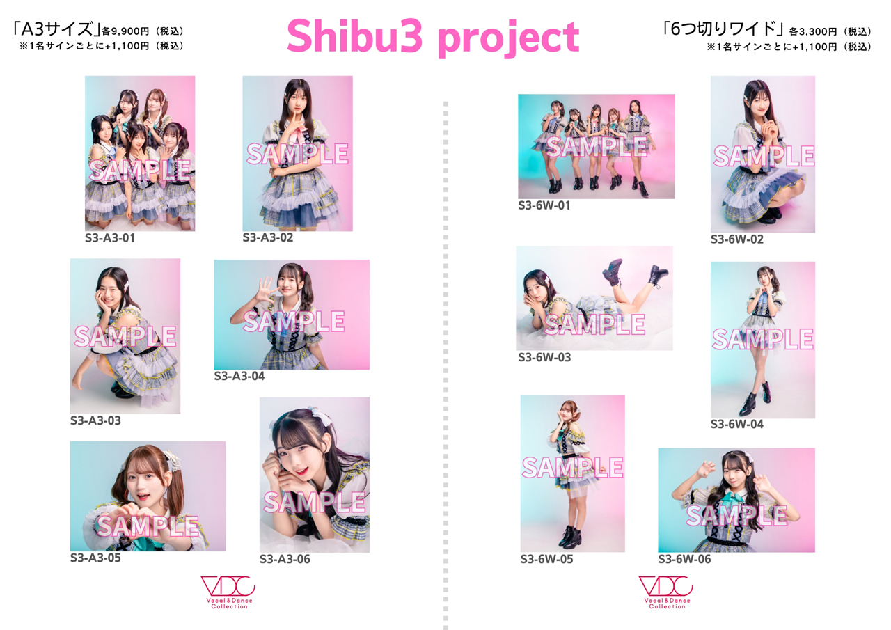 Shibu3 project