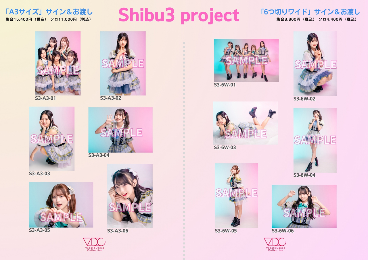 Shibu3 project