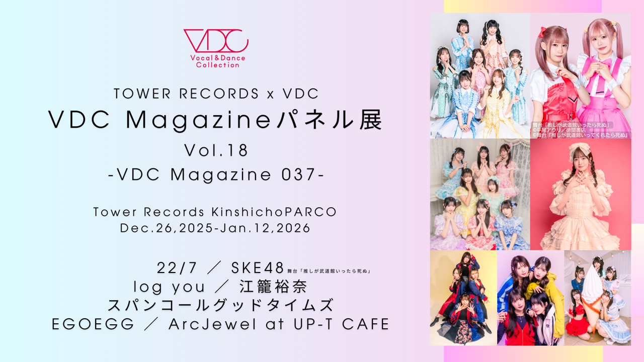 VDCパネル展